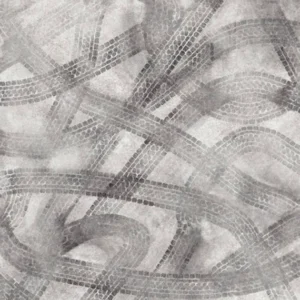 Abstract grayscale artwork with overlapping curved lines and textures.