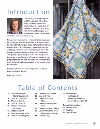 Stitch the Daydream Sampler and Master Your Quilting Skills - Image 3